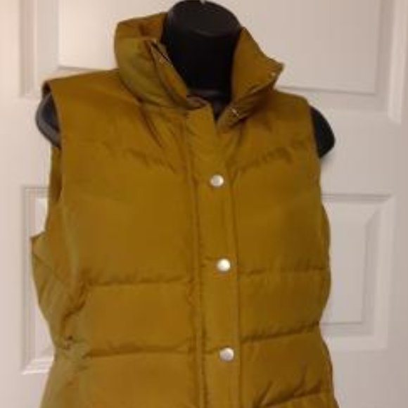 Winter Wonderland with  Outerwear J Crew Vest - Picture 2 of 7